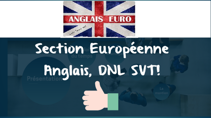 Section euro anglais.png